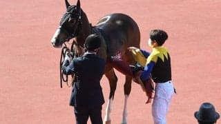 【阪神牝馬S】競走除外のアカイトリノムスメは右後肢跛行