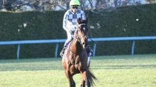 クラシック三冠の一戦目・皐月賞、オジュウ出走の中山グランドJなど/今週の競馬界の見どころ