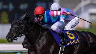 【桜花賞】武豊「悔いのないレースは出来た」レース後ジョッキーコメント