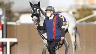 【アンタレスS見どころ】現役続行のオメガパフュームが8走ぶりにGIII参戦