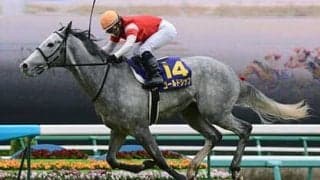 「ウマ娘」で再注目のゴールドシップ。皐月賞で見せた輝き、数々の伝説レース