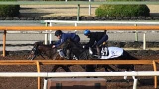 【アーリントンC想定騎手】ダノンスコーピオンは川田将雅騎手、キングエルメスは坂井瑠星騎手