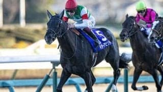 アンカツ厳選の「３歳牡馬番付」。皐月賞、ダービーを制すのはどの馬だ