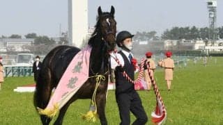 2世代で2頭のクラシックホースを送り出したドゥラメンテ