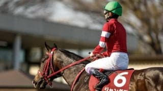 ジャングロは血統的にも見どころ満載 これまでのモアザンレディ産駒とは質が違う!?