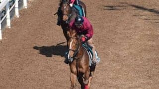 ライラックスアンドレースの2020など、先週の入厩情報/栗東トレセンニュース