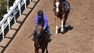 ガルヴァナイズなど、先週のゲート試験/栗東トレセンニュース