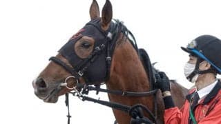 【皐月賞】ここまで中山全勝のアスクビクターモア 田辺騎手と3連勝での戴冠へ