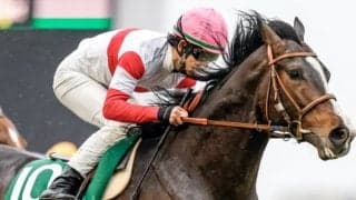 【皐月賞】2戦2勝のダノンベルーガ 新タッグで最小キャリア＆4年連続無敗戴冠へ