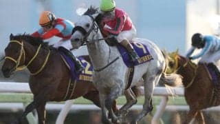 【アンタレスS予想オッズ】オメガパフュームが予想1番人気