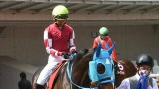 【中山グランドJ予想オッズ】オジュウチョウサンが予想1番人気