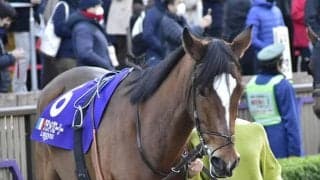 【海外競馬】繁殖馬セールにて3億円超で落札された昨年のJC5着馬グランドグローリーが現役続行、復帰戦を勝利で飾る