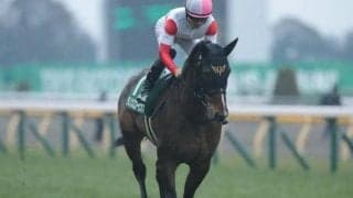 【アーリントンC予想オッズ】ダノンスコーピオンが予想1番人気