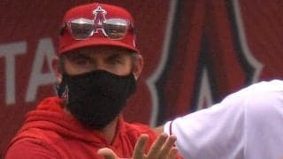 【MLB】大谷翔平の出場試合で2日連続の退場劇　エ軍打撃コーチが猛抗議で一発アウト