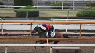 ヴィクティファルス、マイラーズC1週前追い切り速報/栗東トレセンニュース