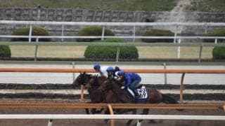 ルビーカサブランカ、福島牝馬S1週前追い切り速報/栗東トレセンニュース