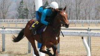 JRA育成馬展示会に2歳馬46頭が登場、デクラレーションオブウォー産駒が最速タイム