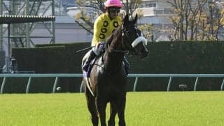 【JRA】サークルオブライフ国枝師「オークスに繋がる競馬はできた」在厩調整で巻き返しへ