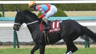 【天皇賞・春想定】昨年2着馬ディープボンド、菊花賞馬タイトルホルダーなど