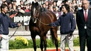 【皐月賞】『ウマ娘』トウカイテイオー役、MachicoさんがNHK中継に登場！