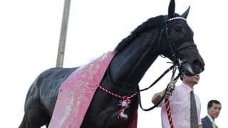 ダートグレード競走5勝のグリムがJRA登録抹消、地方競馬に移籍予定