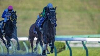 グリムが競走馬登録抹消