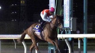 【マリーンC】ショウナンナデシコが8馬身差圧勝
