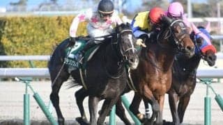 【皐月賞予想】AIが波乱を期待できる超人気薄を注目馬に指名！