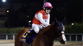 【マリーンC】吉田隼「早めでもスパートした」ショウナンナデシコが重賞2勝目