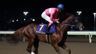 【アンタレスS展望】距離短縮組が活躍傾向、あの馬の変わり身を期待したい