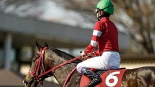 【次走】藤田晋オーナー所有のジャングロはNHKマイルカップへ NZTを逃げ切り優先出走権獲得