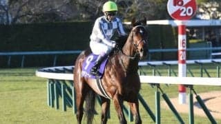 【皐月賞枠順確定】ドウデュースは6枠12番、ダノンベルーガは1枠1番