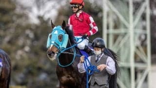 【中山グランドJ出走馬・騎手確定】オジュウチョウサン＆石神深一騎手、ケンホファヴァルト＆森一馬騎手など9頭