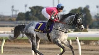 【アンタレスS出走馬・騎手確定】オメガパフューム＆横山和生騎手、バーデンヴァイラー＆幸英明騎手など16頭