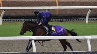 【皐月賞 調教後馬体重】ドウデュースは494kg、キラーアビリティは468kg