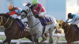 【アンタレスS枠順確定】オメガパフュームは4枠8番、バーデンヴァイラーは6枠12番