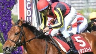 【マイラーズC想定】安定感抜群のカラテ、前年覇者ケイデンスコールなど15頭