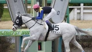 【天皇賞・春 想定】ルメール騎手はハーツイストワール、武豊騎手はハヤヤッコに騎乗予定