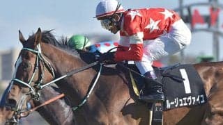 【フローラS想定】デビュー2連勝中ルージュエヴァイユ、キタサンブラック産駒ラスールなど16頭