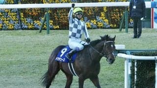 武豊騎手 今週の騎乗馬 ドウデュースなど