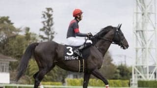 【中山グランドJ予想】スタミナ＆飛越のセンスが問われる障害GI