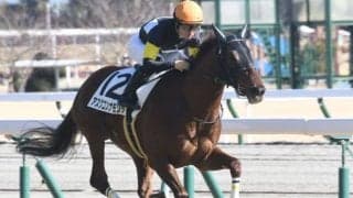 【アーリントンカップC予想】出世レースは形を変え3歳マイル王へのステップに