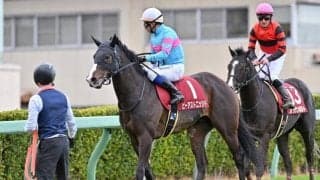 【皐月賞予想】オニャンコポンは寒さに弱い!? 快晴中山で「激走」再び