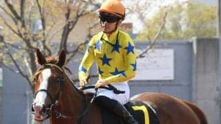 【次走】忘れな草賞勝ち馬アートハウスはオークスを視野に　秋華賞2着馬パールコードの初仔