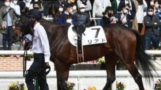 【次走】5億円馬リアドは川田騎手とのコンビで京都新聞杯へ