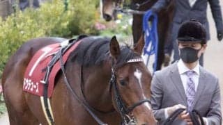 【皐月賞前日オッズ】ドウデュースが4.9倍で1番人気、5頭が10倍を切る混戦模様