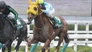 【アンタレスS予想】実績よりも「若さ」が大事!? 結果を左右する年齢による衰え