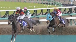 【中山GJ】西谷「とても悔しい」ブラゾンダムールは惜しい2着