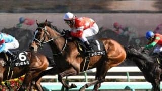 戸崎騎手も唸る。遅れてきた大物ルージュエヴァイユは「スピードに乗った時の迫力がすごい」