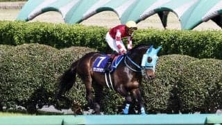 石神深一騎手 JRA障害通算1000回騎乗達成！